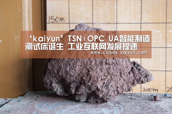 ‘kaiyun’TSN+OPC UA智能制造测试床诞生 工业互联网发展提速(图2) 开云平台