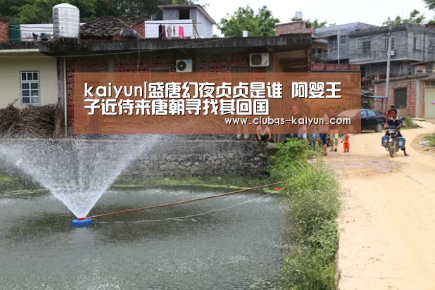 kaiyun|盛唐幻夜贞贞是谁 阿婴王子近侍来唐朝寻找其回国(图2) 开云平台