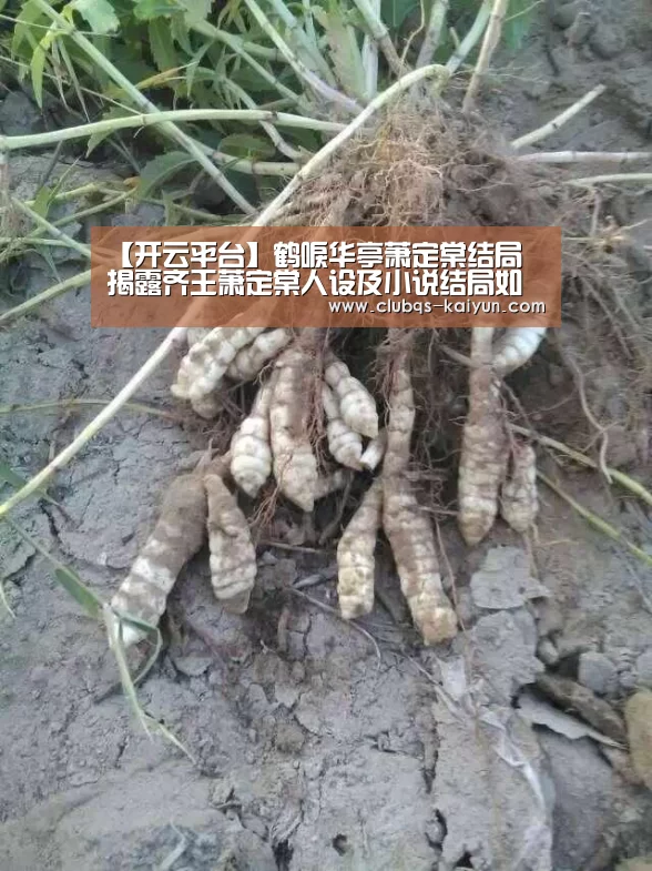 【开云平台】鹤唳华亭萧定棠结局 揭露齐王萧定棠人设及小说结局如何(图2) 开云