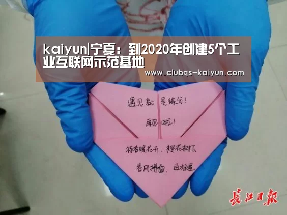 kaiyun|宁夏:到2020年创建5个工业互联网示范基地(图2) 开云APP